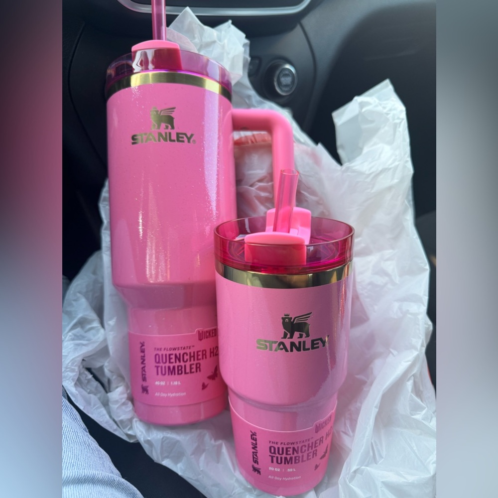 Wicked Pink👄💗Stanley 40oz and 20oz! This a set!